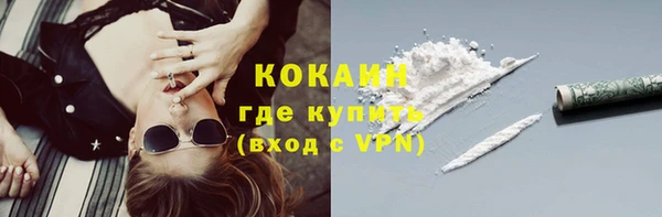 индика Тайга