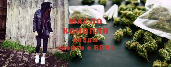мдпв Новозыбков