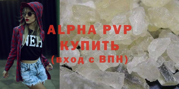 мдпв Новозыбков