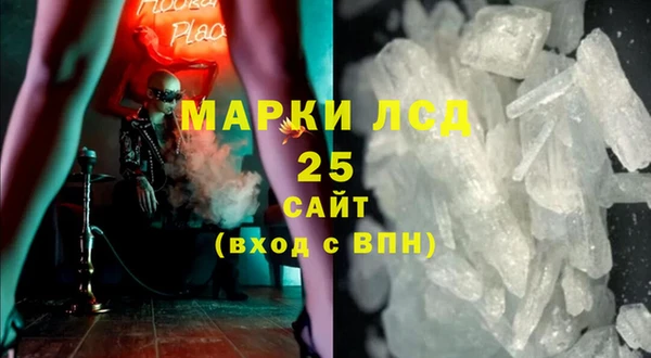мдпв Новозыбков