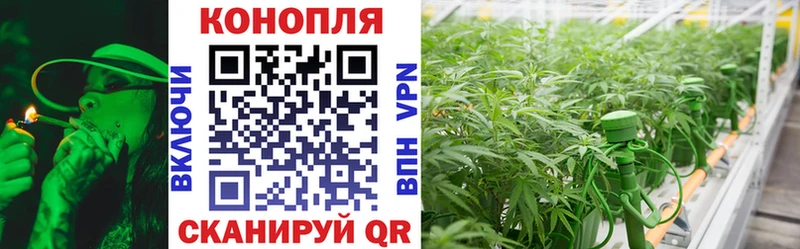 как найти закладки  Феодосия  Канабис семена 